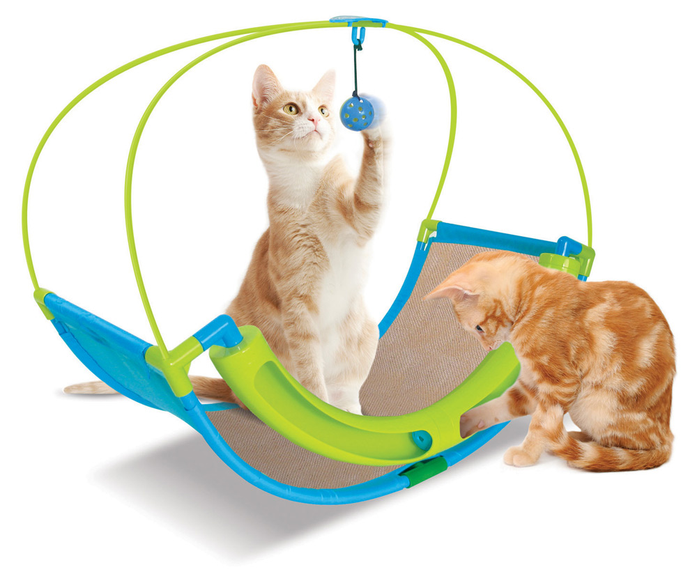 How to entertain a cat | Pets-Wiki