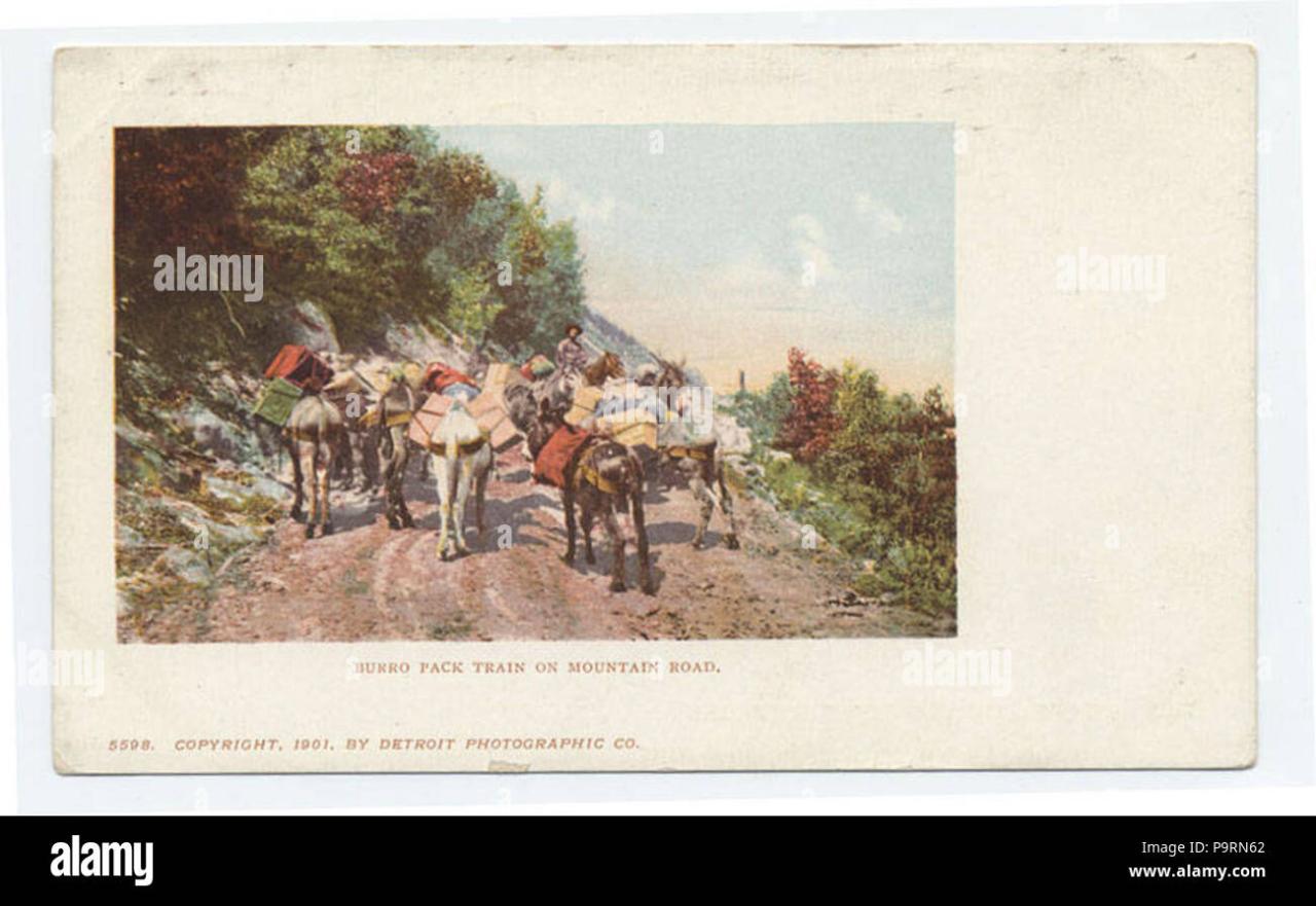 Lego Star Wars Battle Pack 2024 - Pammi Charleen Lego Star Wars Battle Pack 2024 - Pammi Charleen