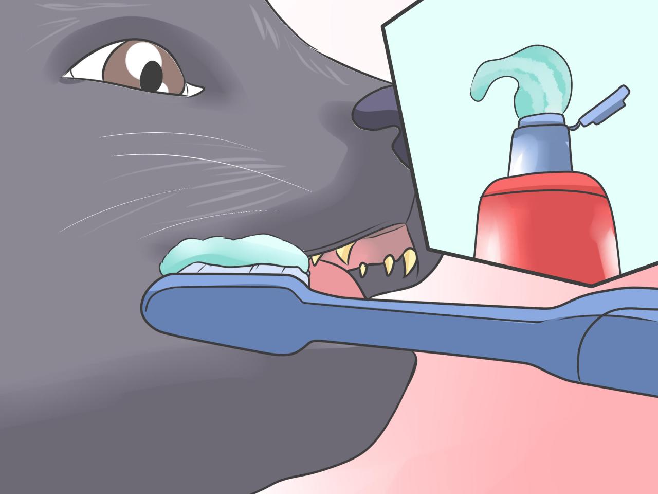 5 Ways to Treat Your Cat's Dental Problems - wikiHow