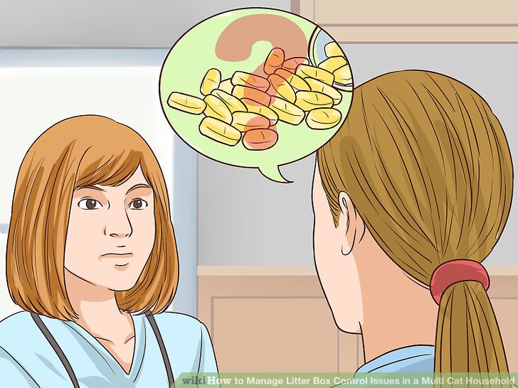 Litter Box Issues | Anicira