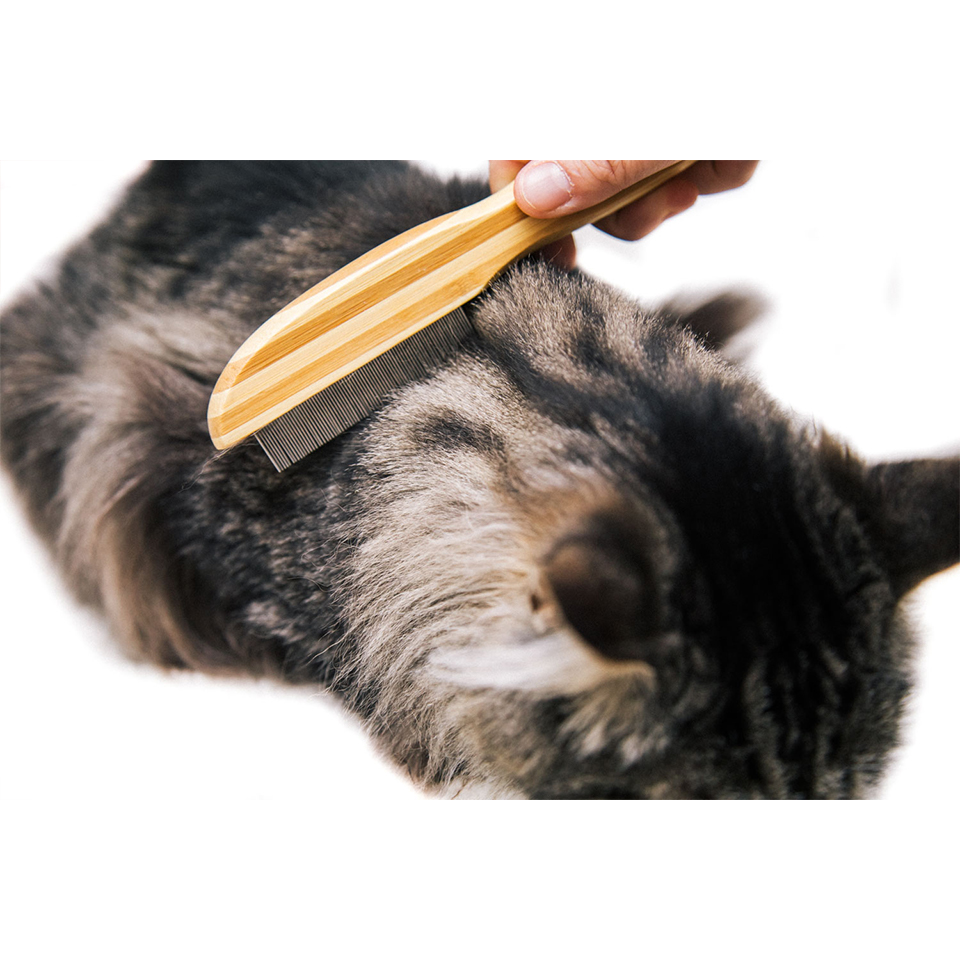 How to Use a Flea Comb on My Cat: 7 Vet Approved Tips | Hepper How to Use a Flea Comb on My Cat: 7 Vet Approved Tips | Hepper