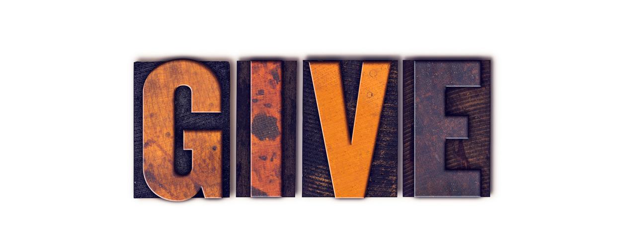 How to give a cat pill