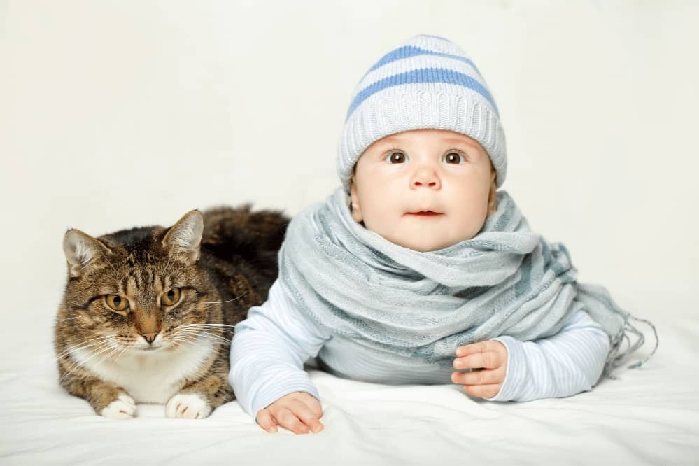 How to Introduce Your Cat to Your Baby? - Smartly Pet