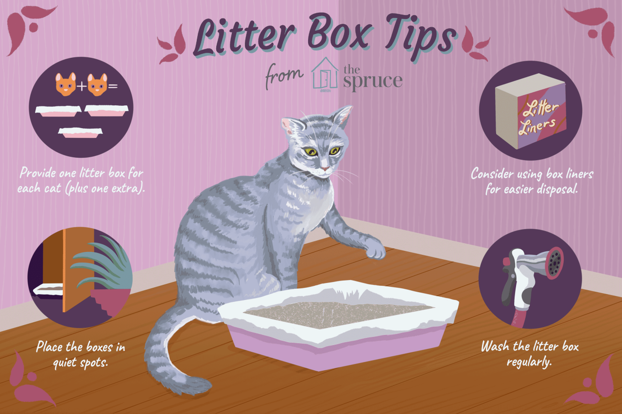 How to Clean Your Cat's Litter Box