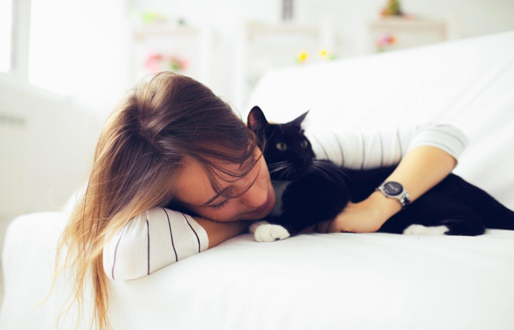 The Best Cat Tracker in case you lose your Cat!