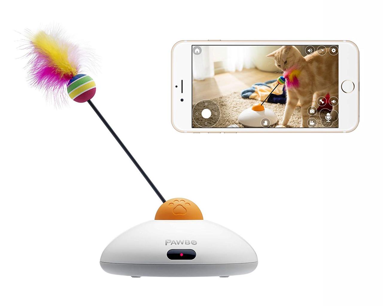 Best Cat Camera - Cat Looking At Collar Cameras + Watching Best Cat Camera - Cat Looking At Collar Cameras + Watching